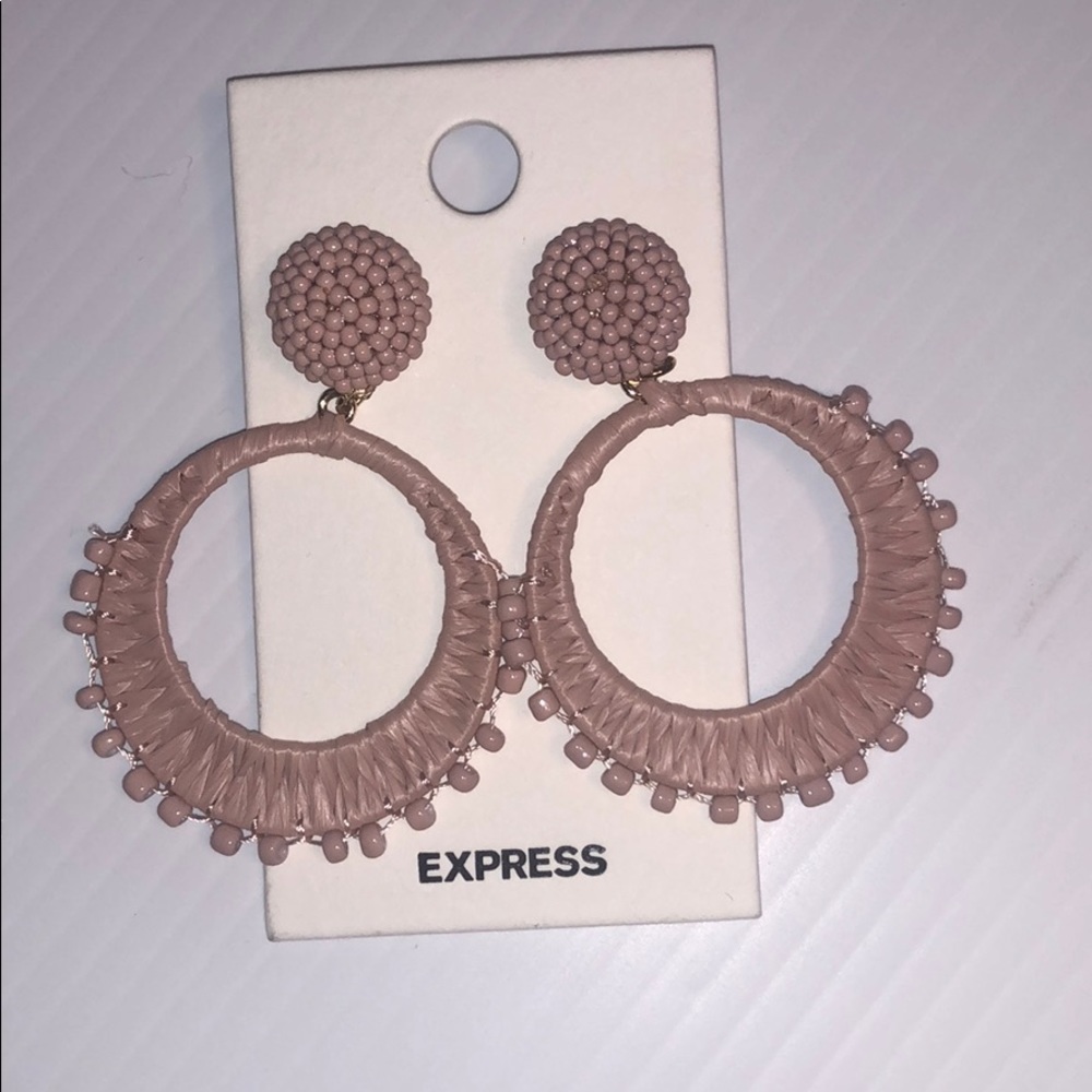 Dusty Pink Express Earrings